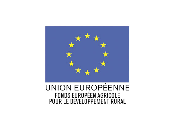 union européenne