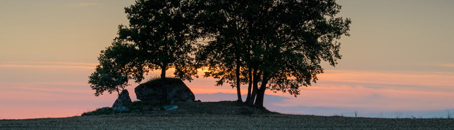 Les Bâtisseurs de Mégalithes