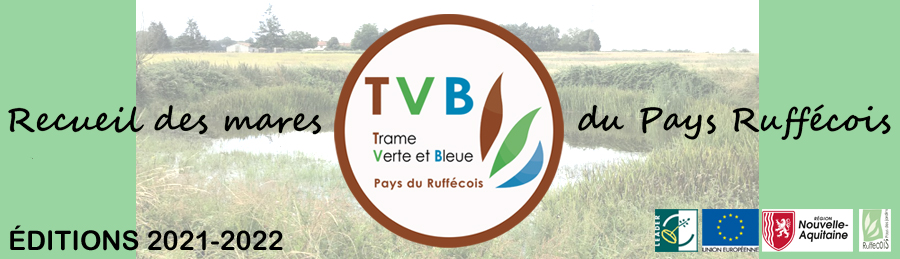 Recueil des mares en Ruffécois