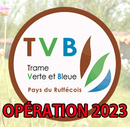 Végétalisation des cimetières – Opération 2023