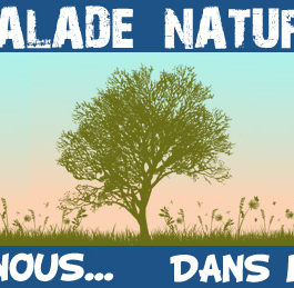 Balade nature