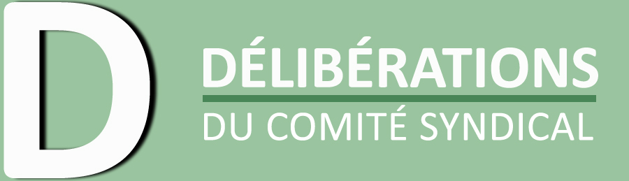 Les délibérations 2025